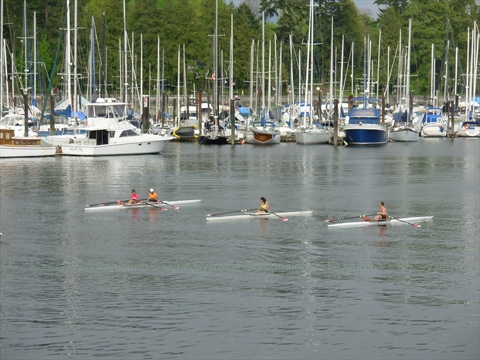 Rowing in Coal Harbour at Stanley Park, Vancouver, BC, Canada