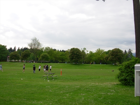 Ultimate Frisbee in Stanley Park, Vancouver, BC, Canada