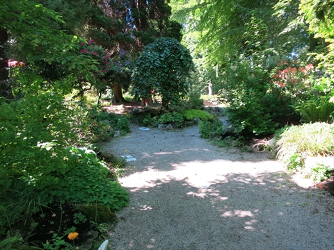 Rock Garden in Stanley Park, Vancouver, BC, Canada