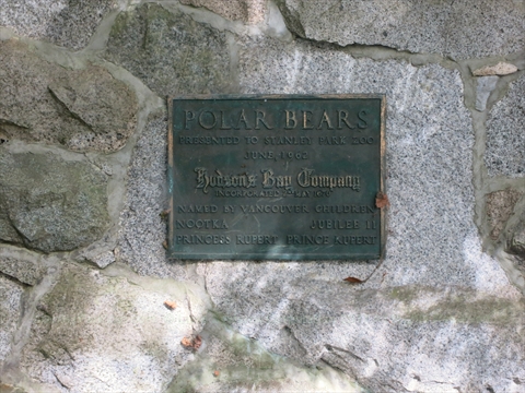 Polar Bear Compound plaque