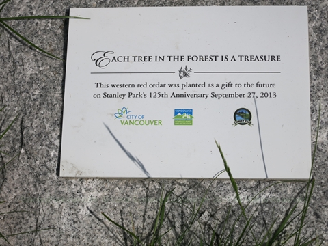 125th Anniversary Tree plaque