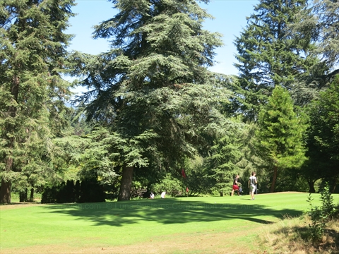 Stanley Park Pitch and Putt Golf Course