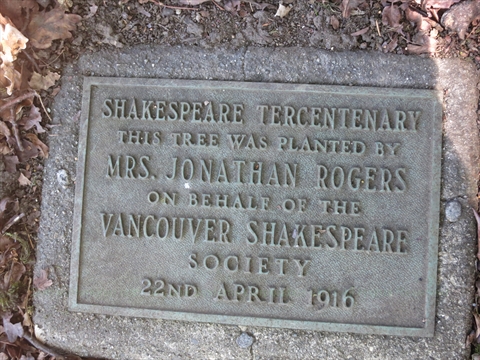 Shakespeare Tercentenary Tree Plaque 