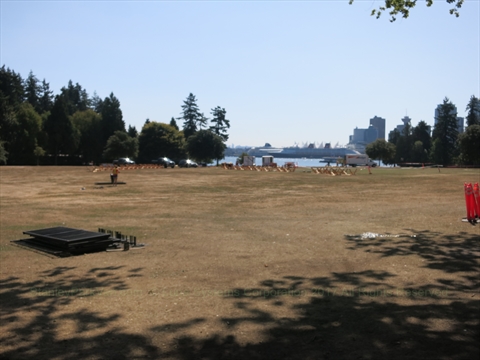 Brockton Playing Fields Reservable Picnic Area in Stanley Park