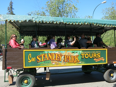 Horse-Drawn Tour of Stanley Park, Vancouver, BC, Canada