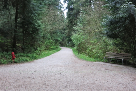 Bridle Trail in Stanley Park, Vancouver, BC, Canada