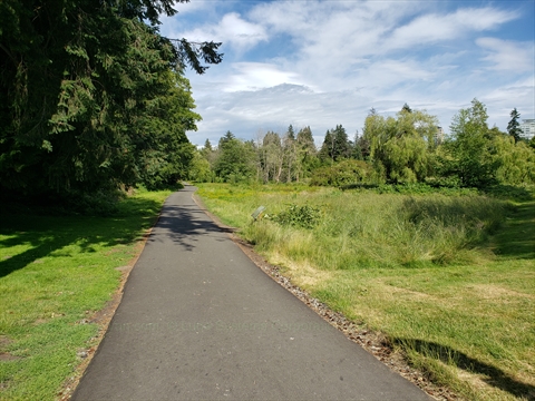 Ceperley Meadow walking path in Stanley Park, Vancouver, BC, Canada