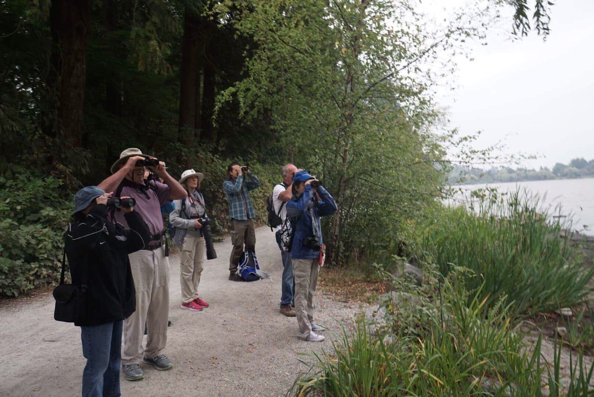 Bird watching in Stanley Park, Vancouver, BC, Canada