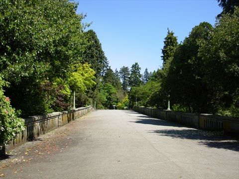 Entrance Bridge in Stanley Park