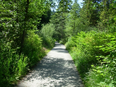 Tisdale Trail near Beaver Lake
