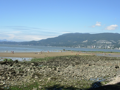 coastline in Stanley Park, Vancouver, BC, Canada
