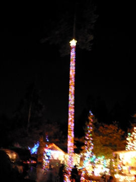 Bright Nights Christmas Train in Stanley Park, Vancouver, BC, Canada