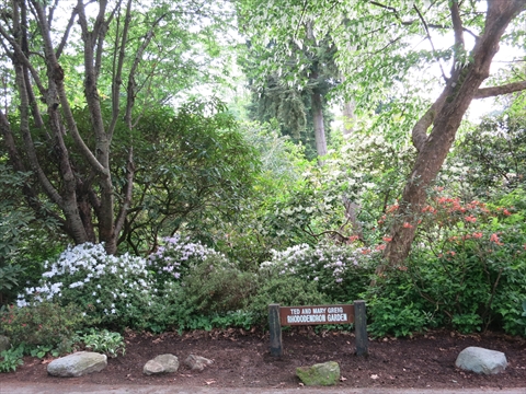 Ted and Mary Greig Rhododendron Garden in Stanley Park, Vancouver, BC, Canada