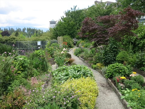 Community Garden in Stanley Park, Vancouver, BC, Canada
