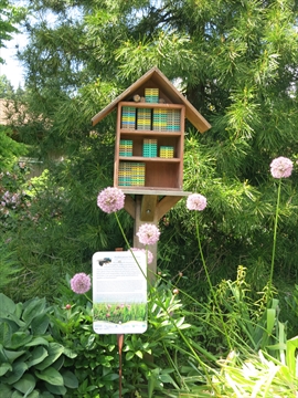 bee house in Stanley Park, Vancouver, BC, Canada