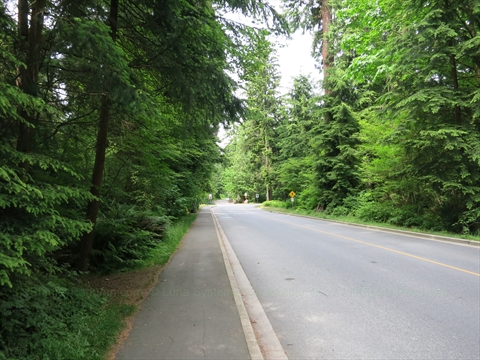 Pipeline Road in Stanley Park, Vancouver, BC, Canada