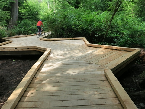 Cathedral Trail Boardwalk in Vancouver, BC, Canada