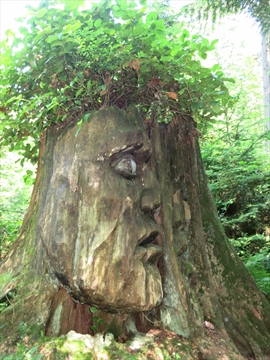 Two Spirits art work in Stanley Park, Vancouver, BC, Canada