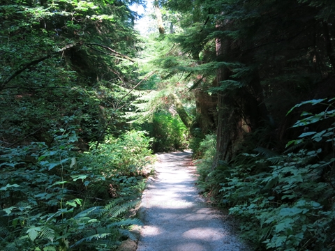 Hiking in Stanley Park, Vancouver, BC, Canada