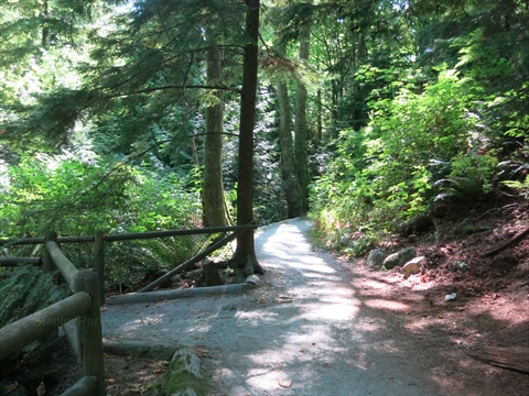 Ravine Trail in Vancouver, BC, Canada