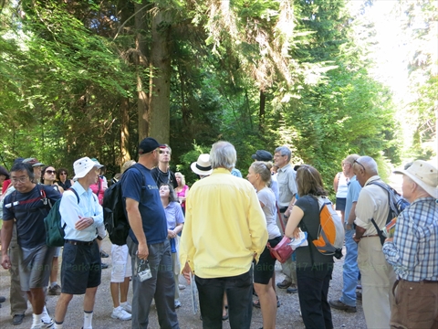Tour in Stanley Park, Vancouver, BC, Canada