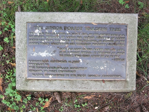 Junior Forest Warden Tree plaque