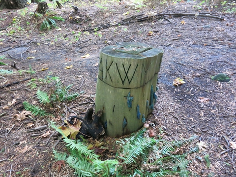 K'Ayacht'n! Environmental Art in Stanley Park, Vancouver, BC, Canada