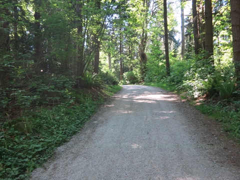 Brockton Oval Trail in Stanley Park, Vancouver, BC, Canada