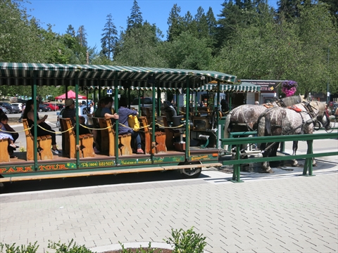 Horse-Drawn Tour of Stanley Park, Vancouver, BC, Canada