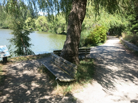 Lost Lagoon Trail in Vancouver, BC, Canada