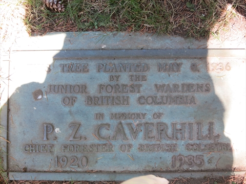 Peter Caverhill  tree plaque