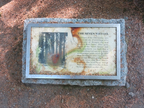 Seven Sisters Trees plaque
