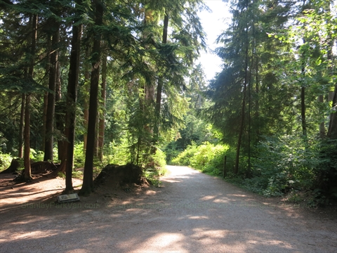 Tatlow Trail in Stanley Park, Vancouver, BC, Canada