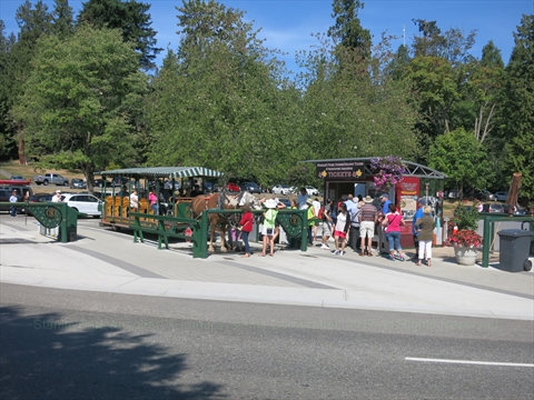 Stanley Park Horse-drawn Carriage Tour, Vancouver, BC, Canada