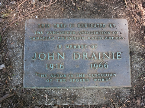 John Drainie Tree Plaque in Stanley Park