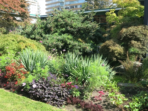 Vancouver Parks Board Office