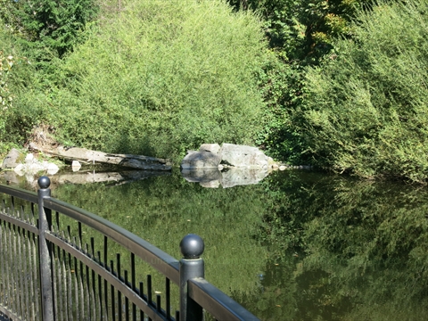 Salmon Display Pond