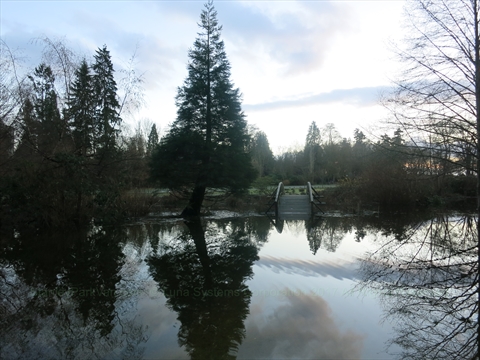 Ceperley Meadow in Stanley Park, Vancouver, BC, Canada