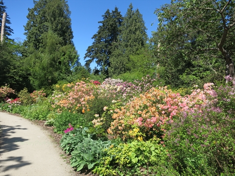 Garden in Stanley Park, Vancouver, British Columbia Canada