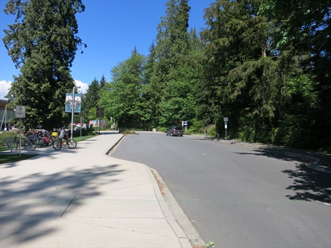 Avison Way in Stanley Park, Vancouver, BC, Canada