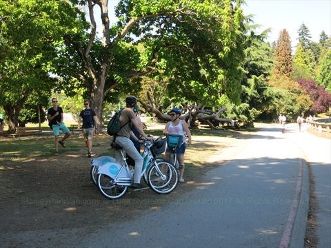 Mobi Bikes in Stanley Park, Vancouver, BC, Canada