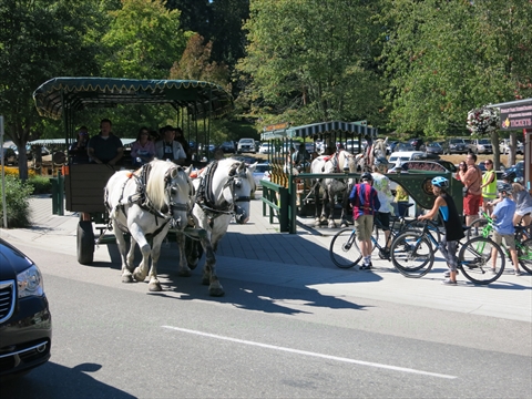 Horse drawn carriage tour in Stanley Park, Vancouver, BC, Canada