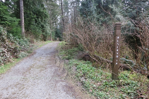 Reservoir Trail in Vancouver, BC, Canada