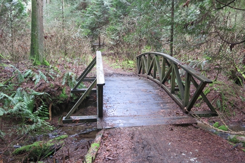 North Creek Trail in Vancouver, BC, Canada