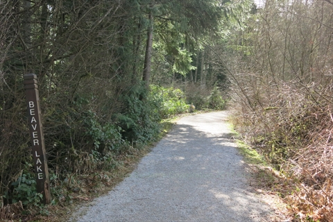 Beaver Lake Trail in Vancouver, BC, Canada