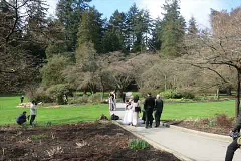 Wedding Photos in Rose Garden in Stanley Park, Vancouver, BC, Canada
