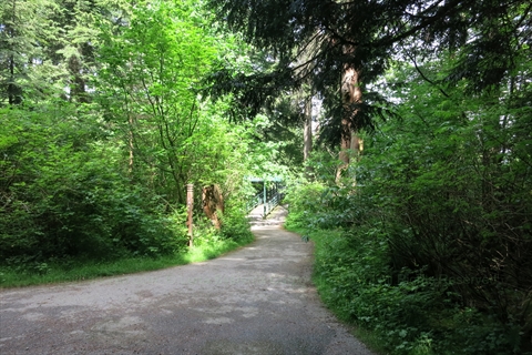 Lake Trail in Vancouver, BC, Canada