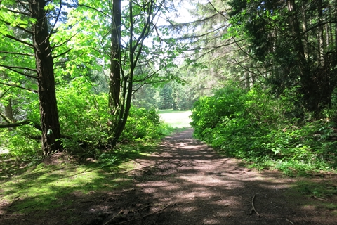 Meadow Trail in Vancouver, BC, Canada