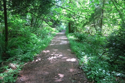 Third Beach Trail in Vancouver, BC, Canada