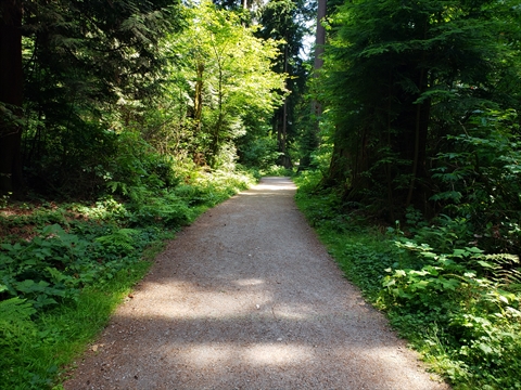 Tatlow Walk in Vancouver, BC, Canada
